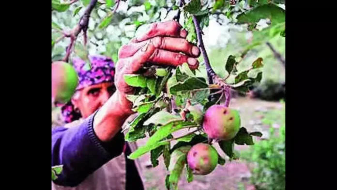 Alarming Effects of Climate Change on Fruit Production: A Critical Analysis with Solutions