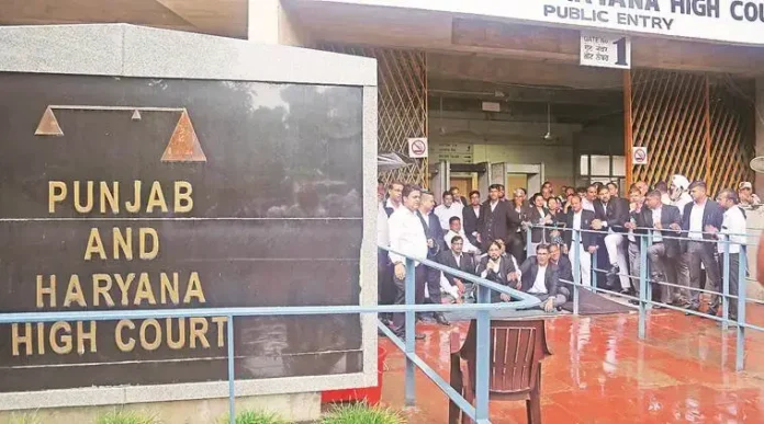 Punjab, Haryana High Court Cancels 1,112 FIRs Registered During COVID-19 Lockdown