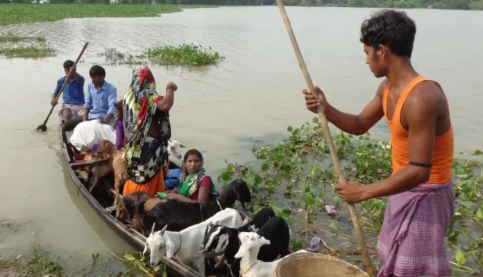 North Bihar Battles Worsening Floods: Government’s Failure Leaves 1.5 Million Struggling