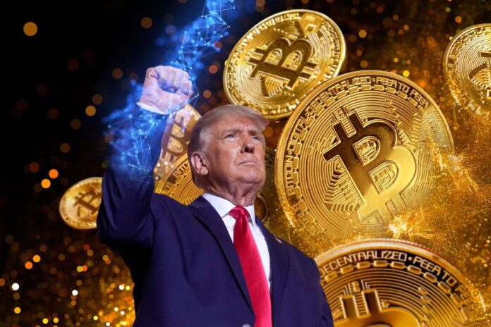 Trump Targets Pro-Crypto Allies For Key Federal Financial Positions