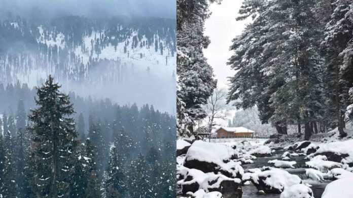 Kashmir Welcomes Season's First Snowfall