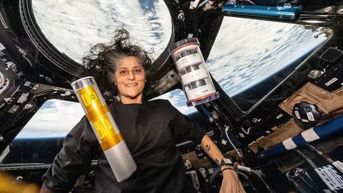 Nasa Delays Sunita's Arrival