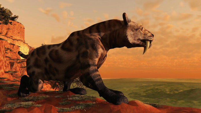 Sabre-Toothed Kitten Mummy Found in Siberia With Intact Fur, Skin, And Toes