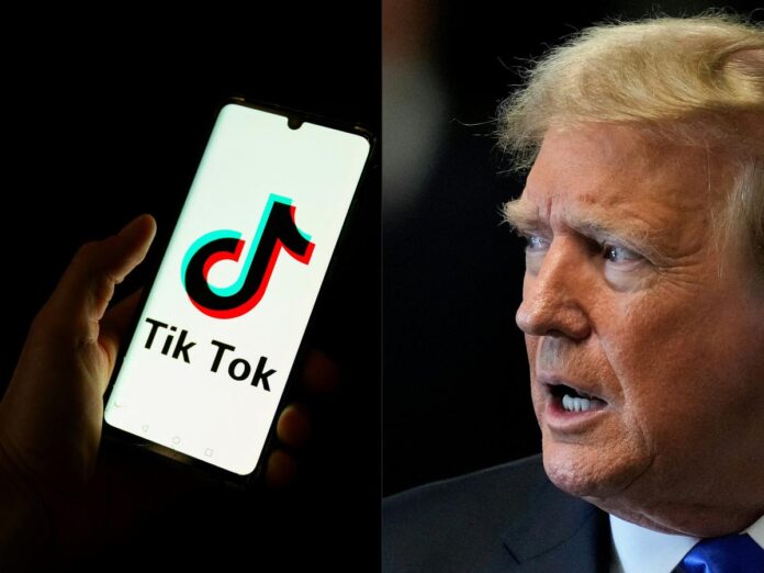 Trump Urges Supreme Court To Pause TikTok Ban Law