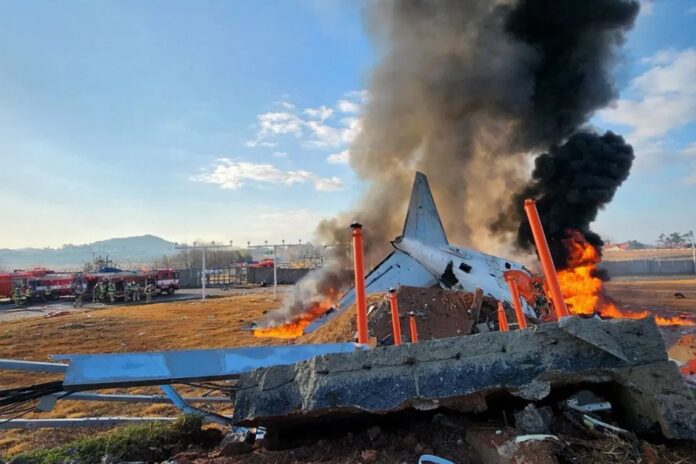 South Korea Plane Crash Kills 179; Investigation Focuses On Bird Strike And Gear Failure