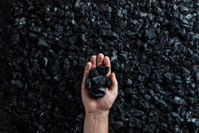 India Achieves Record Coal Production of 988 MT in 2024, Driven by Private Mines and CIL