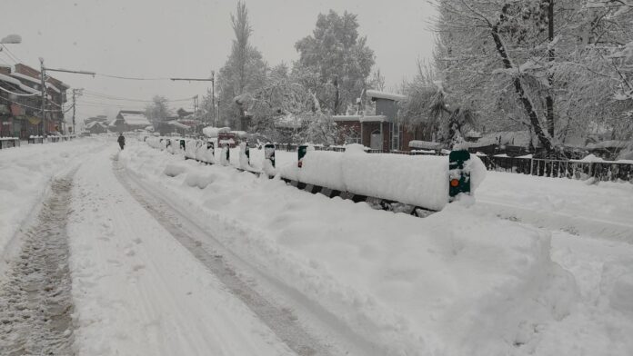 Kashmir Power Outage After Snowfall: Omar Abdullah Assures Restoration By Evening