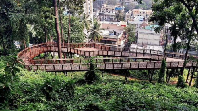 Mumbai's First Elevated Forest Walkway: A Glimpse Into The Malabar Hill Nature Trail