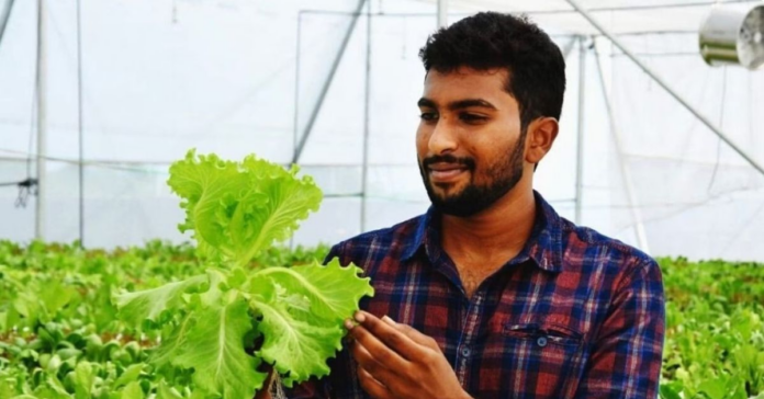 Hydroponics Farming: Sandeep Kannan’s Journey To Earning ₹54,000 Monthly