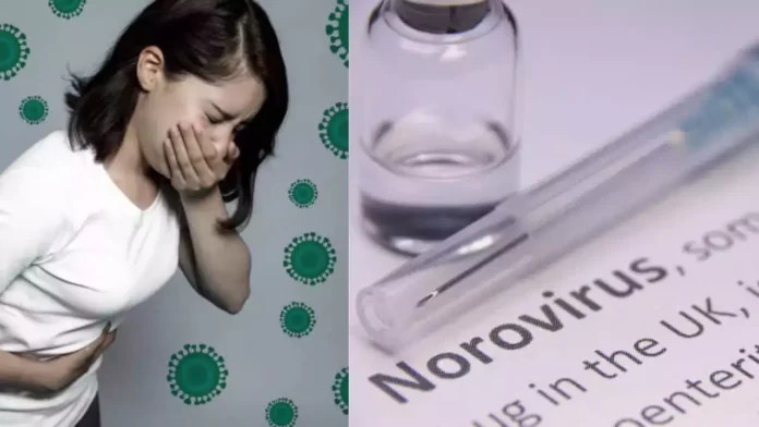 Norovirus Prevention And Why It Is So Hard To Kill