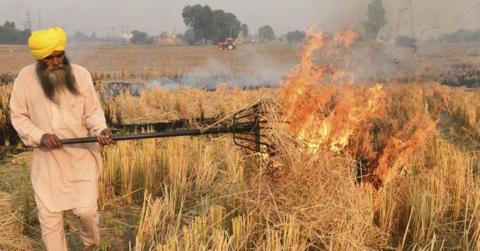 UP Launches "Parali Ke Badle Govansh Khaad" To Combat Stubble Burning And Boost Organic Farming