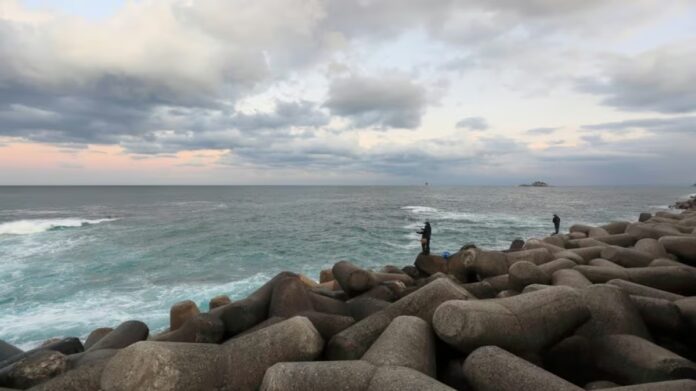 BMC To Replace Marine Drive Tetrapods With M40 Models For 100-Year Protection